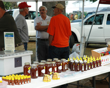 Honey and Beeswax Products